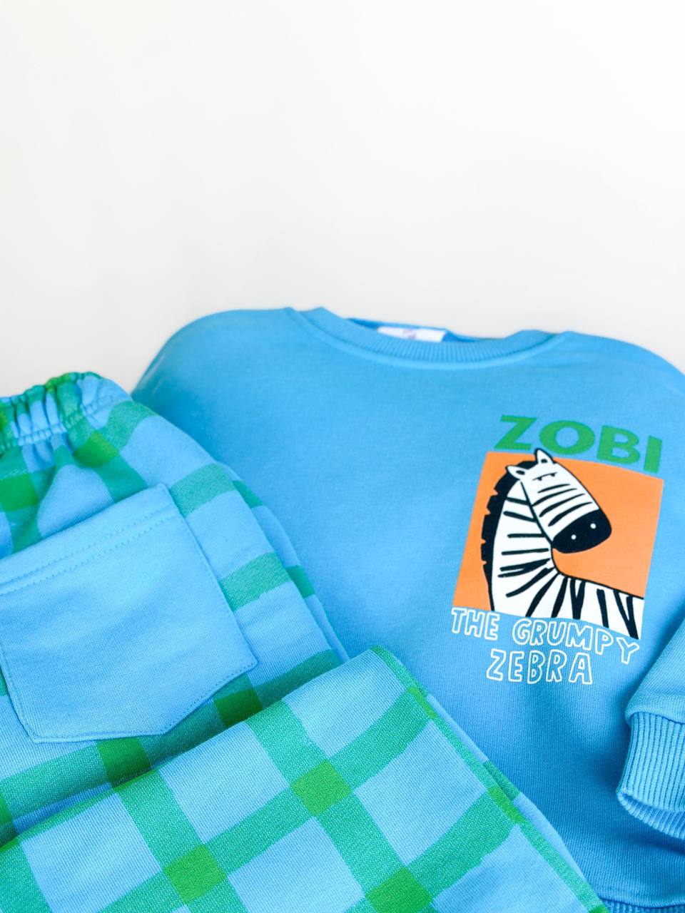 Zebra Baskılı Erkek Çocuk Takım